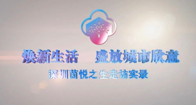 焕新生活  盛放城市欣意