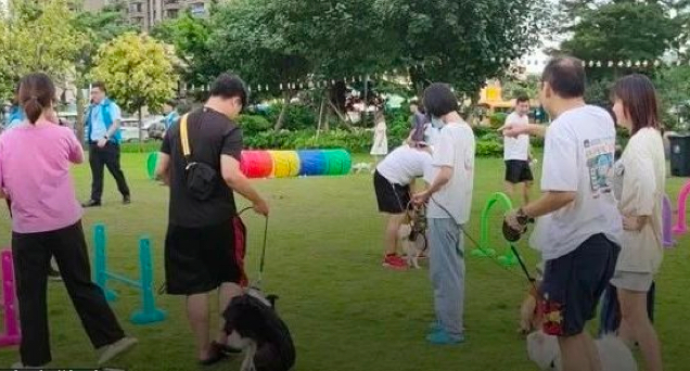 Creating a Harmonious Community for Children and Pets via the Second Country Garden Services Customer Experience Innovation Festival